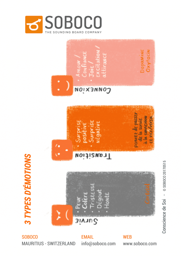 320 Trois types d'émotions